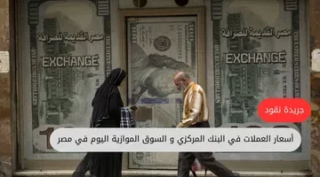 أسعار العملات في البنك المركزي و السوق الموازية اليوم في مصر