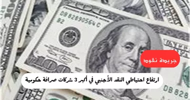 ارتفاع حصيلة النقد الأجنبي في أكبر 3 شركات صرافة حكومية إلى 5.6 مليار جنيه 5 ارتفاع حصيلة النقد الأجنبي في أكبر 3 شركات صرافة حكومية إلى 5.6 مليار جنيه