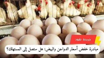 إضافة عنوان فرعي 2024 04 03t171802.114 1
