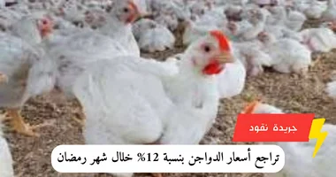 تراجع أسعار الدواجن بنسبة 12% خلال شهر رمضان: ما وراء الأرقام