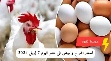 إضافة عنوان فرعي 2024 04 07t171941.982