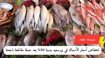 إضافة عنوان فرعي 2024 04 24t172918.785