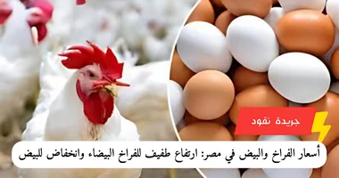 أسعار الفراخ والبيض في مصر: ارتفاع طفيف للفراخ البيضاء وانخفاض للبيض في 25 أبريل 2024 5 أسعار الفراخ والبيض في مصر: ارتفاع طفيف للفراخ البيضاء وانخفاض للبيض في 25 أبريل 2024