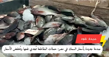 صدمة جديدة بأسعار السمك في مصر: حملات المقاطعة تُجدي نفعها وتُخفض الأسعار 5 صدمة جديدة بأسعار السمك في مصر: حملات المقاطعة تُجدي نفعها وتُخفض الأسعار