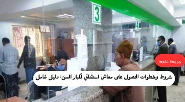 شروط وخطوات الحصول على معاش استثنائي لكبار السن دليل شامل