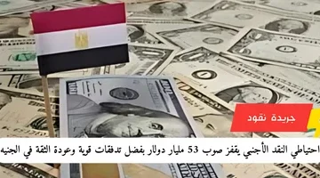 إضافة عنوان فرعي 2024 05 04t150702.789 1
