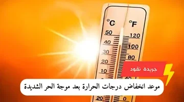 إضافة عنوان فرعي 2024 06 13t153218.076