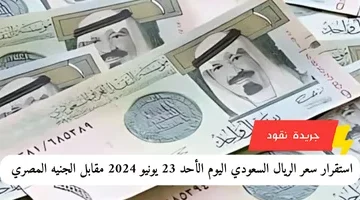 إضافة عنوان فرعي 2024 06 23t171433.947
