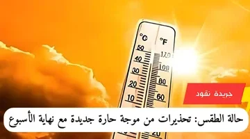 إضافة عنوان فرعي 2024 07 07t171822.084 1