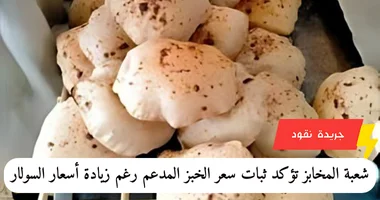 شعبة المخابز تؤكد ثبات سعر الخبز المدعم رغم زيادة أسعار السولار 5 شعبة المخابز تؤكد ثبات سعر الخبز المدعم رغم زيادة أسعار السولار